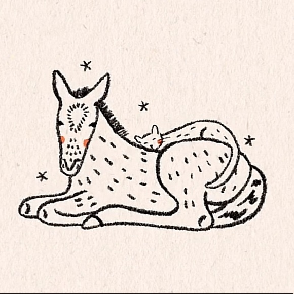 Meet your Posher, Ana - Picture 1 of 1